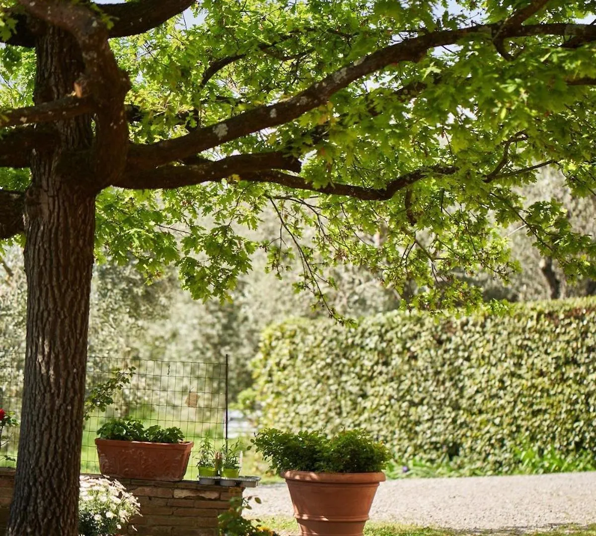 La Loggia Free Parking,Ac Apartment Siena